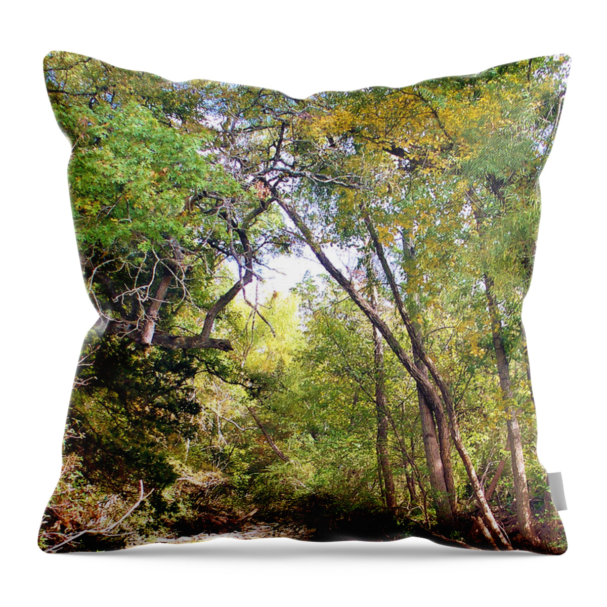 Walnut Creek Throw Pillow featuring the painting Walnut Creek by Troy Caperton