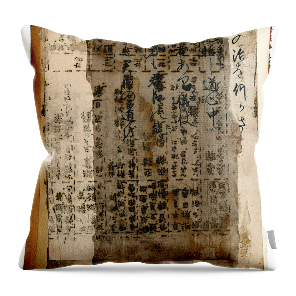 Japan Throw Pillow featuring the photograph Weathered Pages by Carol Leigh