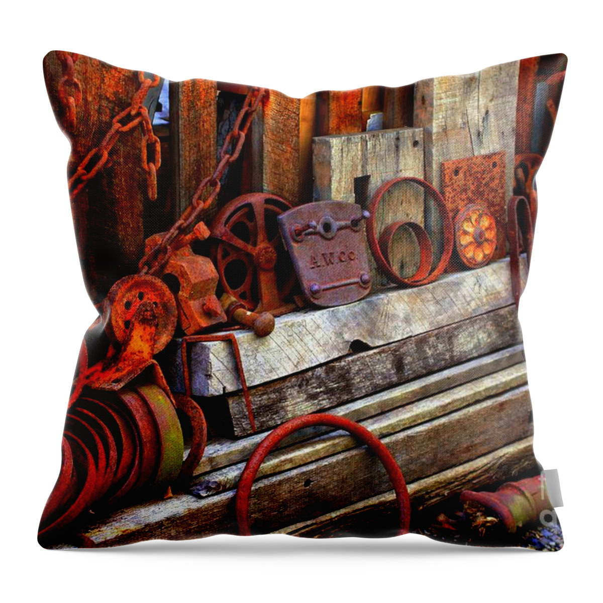 Marcia Lee Jones Throw Pillow featuring the photograph Weathered Rims And Chainss by Marcia Lee Jones