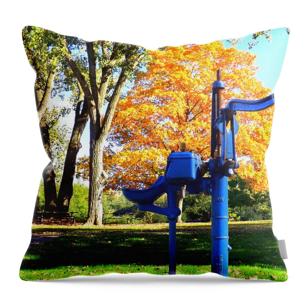 Well Stated Throw Pillow featuring the photograph Well Stated by Darren Robinson