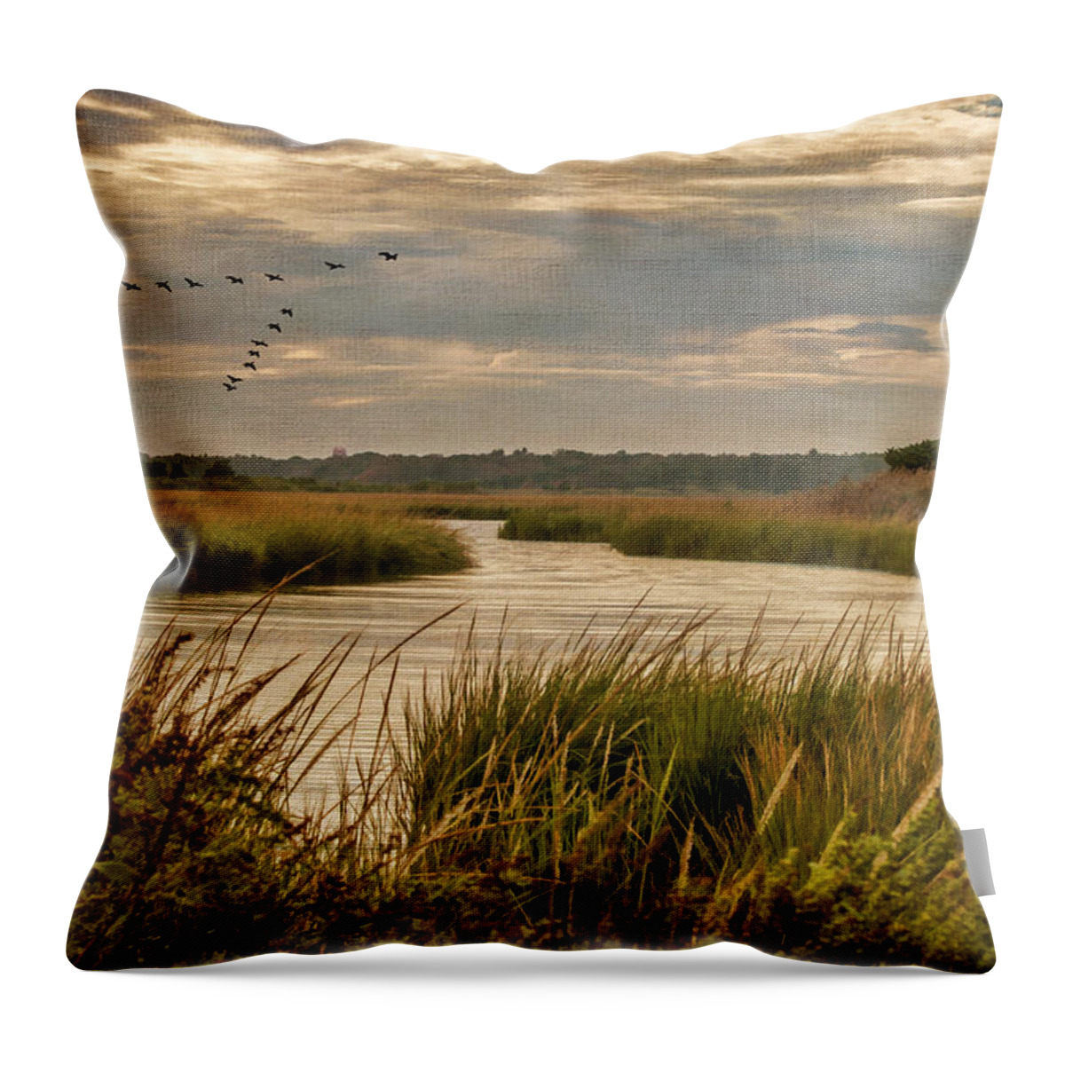 Marsh Throw Pillow featuring the photograph Wetlands in September by Cathy Kovarik
