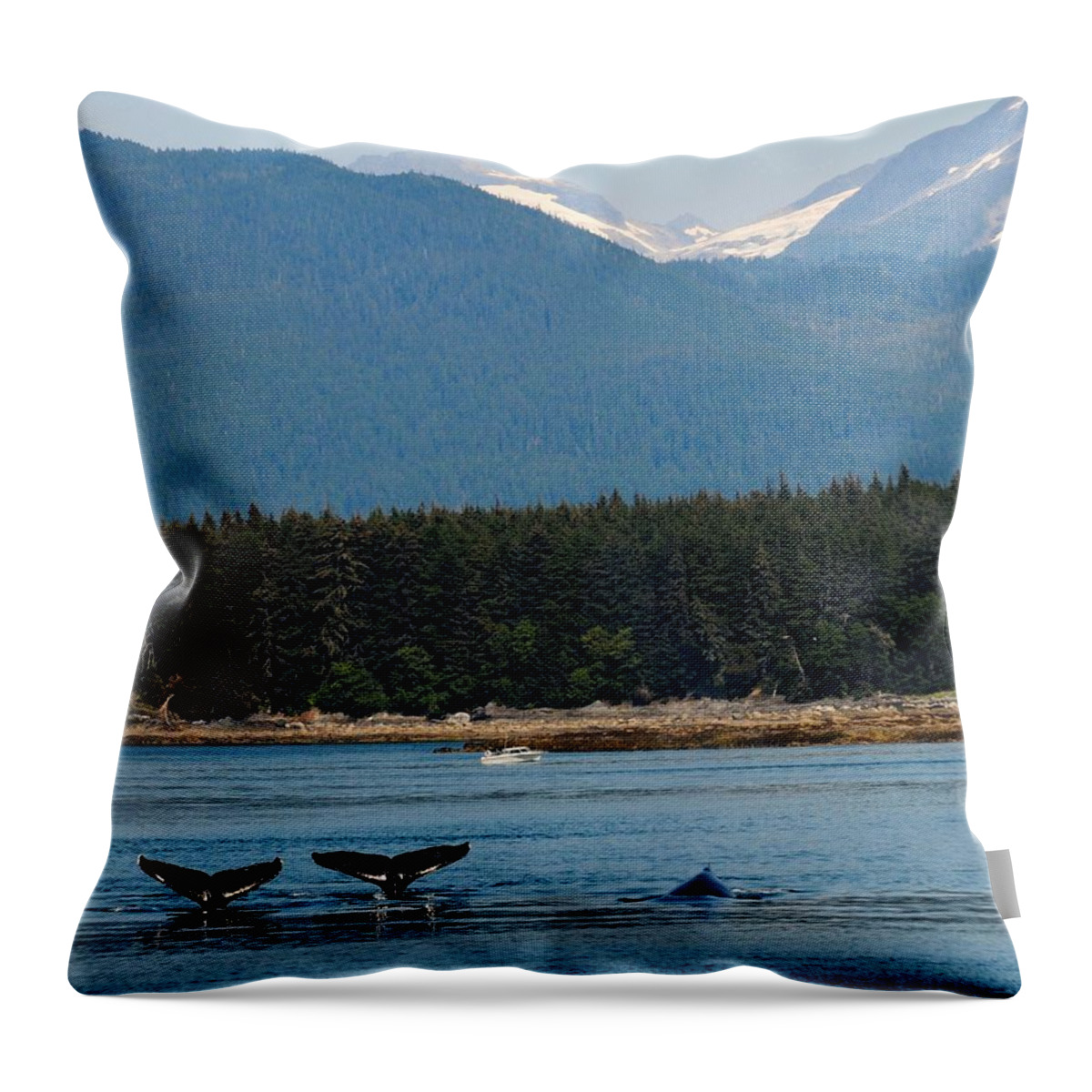 Humpback Whale Throw Pillow featuring the photograph Whales in Alaska by Ken Arcia