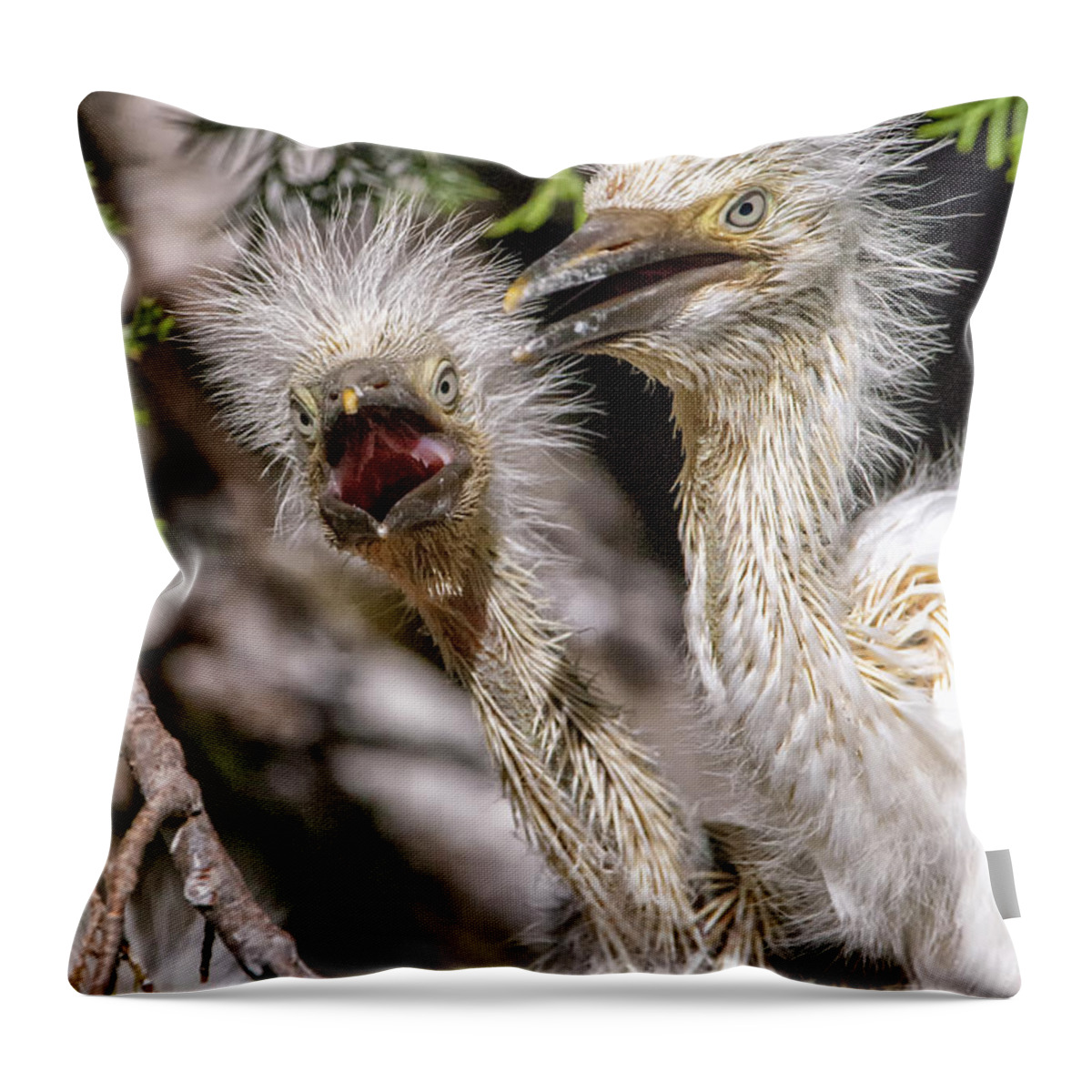 Crystal Yingling Throw Pillow featuring the photograph What by Ghostwinds Photography