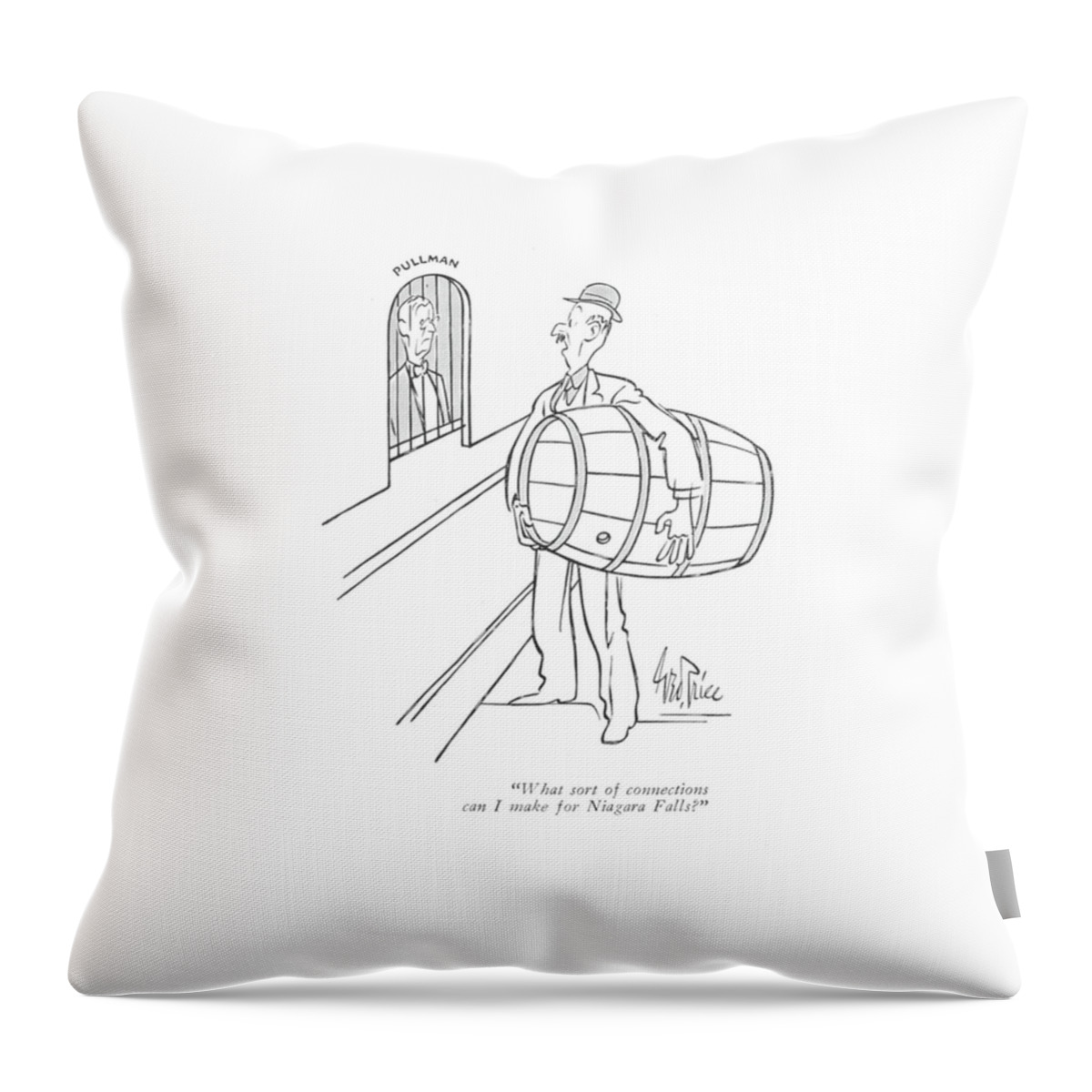 What Sort Of Connections Can I Make For Niagara Throw Pillow