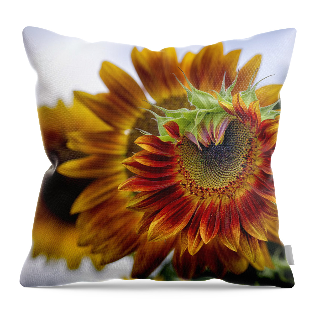 Summer Throw Pillow featuring the photograph Wheels within Wheels by Shirley Mitchell