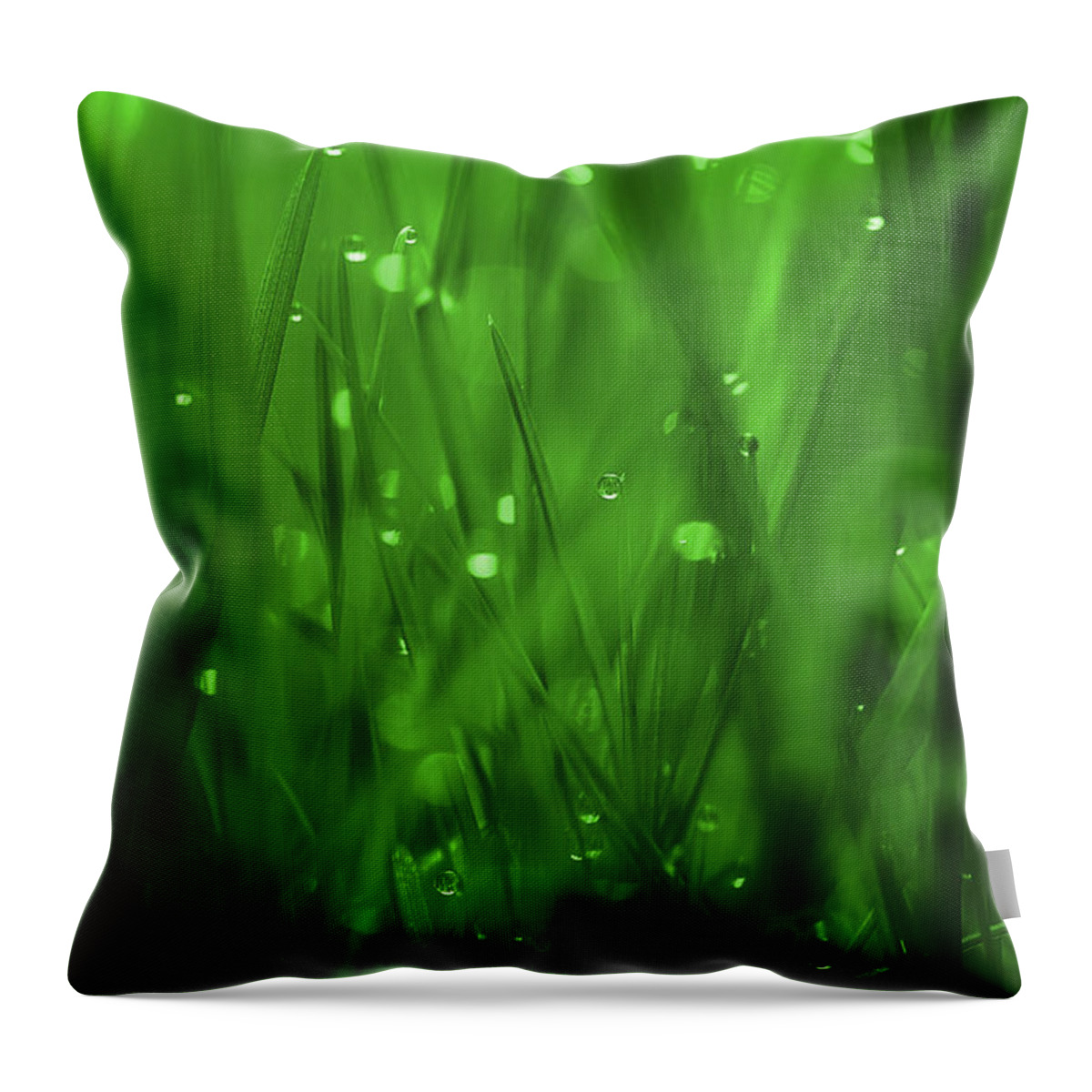 Grass Throw Pillow featuring the photograph Where Dreams Begin by Michael Eingle