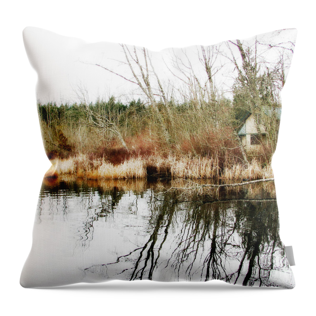 Landscape Throw Pillow featuring the photograph Where Gnomes Dwell by Rory Siegel