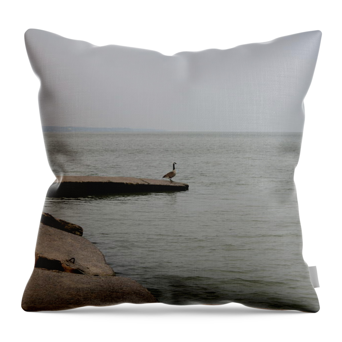 Canadian Geese Throw Pillow featuring the photograph Solitude on Lake Erie by Valerie Collins