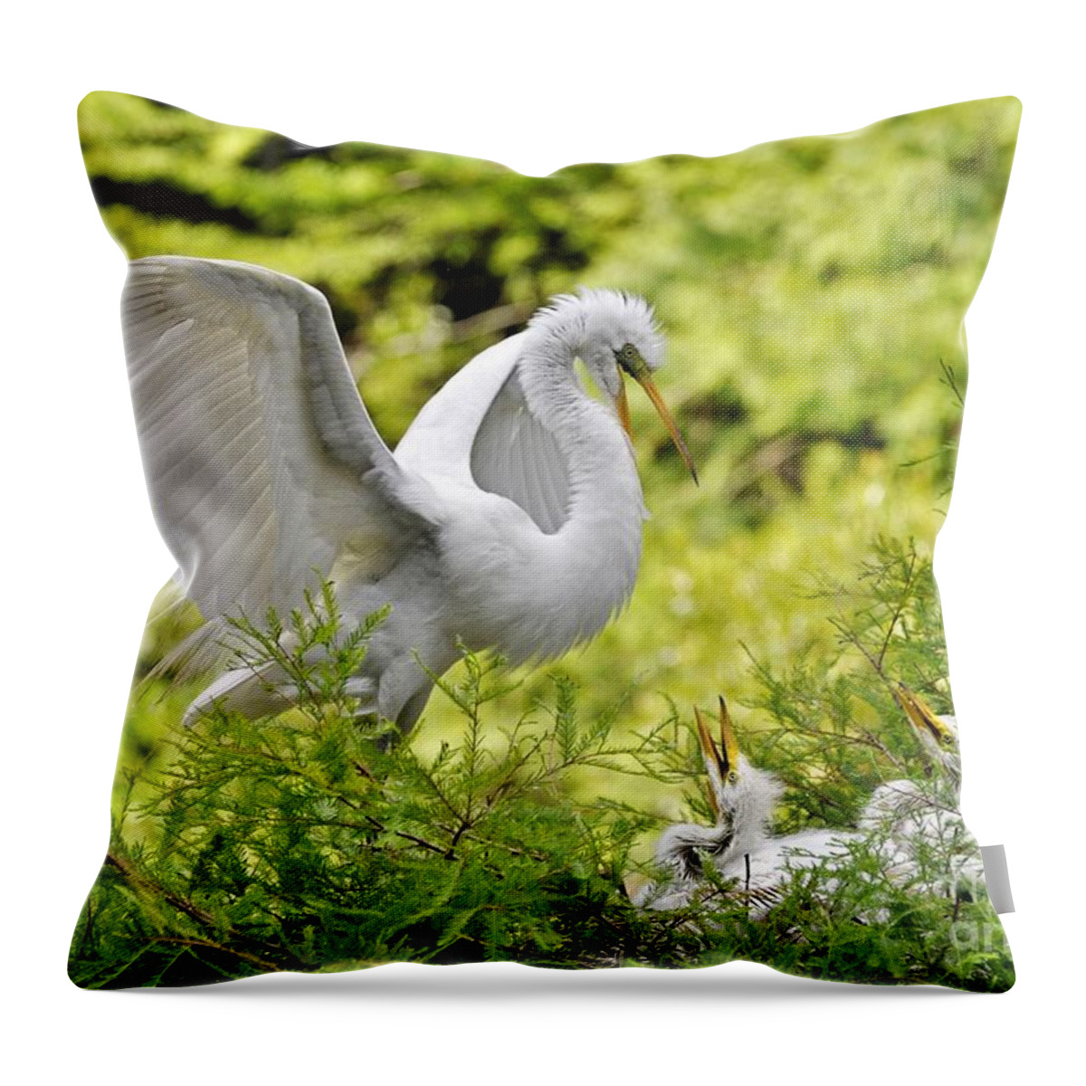 Egret Throw Pillow featuring the photograph Where's Our Lunch Ma by Kathy Baccari