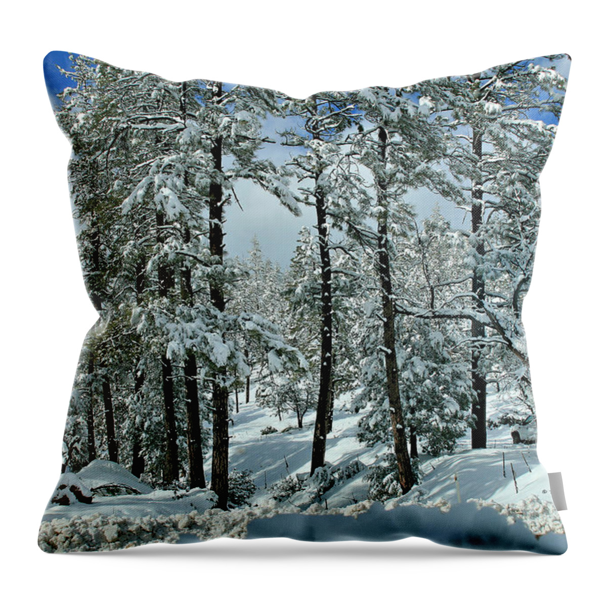 Landscape Throw Pillow featuring the photograph Whispering Snow by Matalyn Gardner