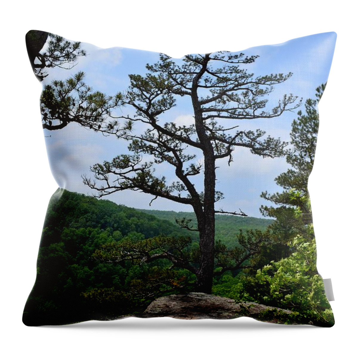 Whitaker Point Throw Pillow featuring the photograph Whitaker Point Trail by Laureen Murtha Menzl