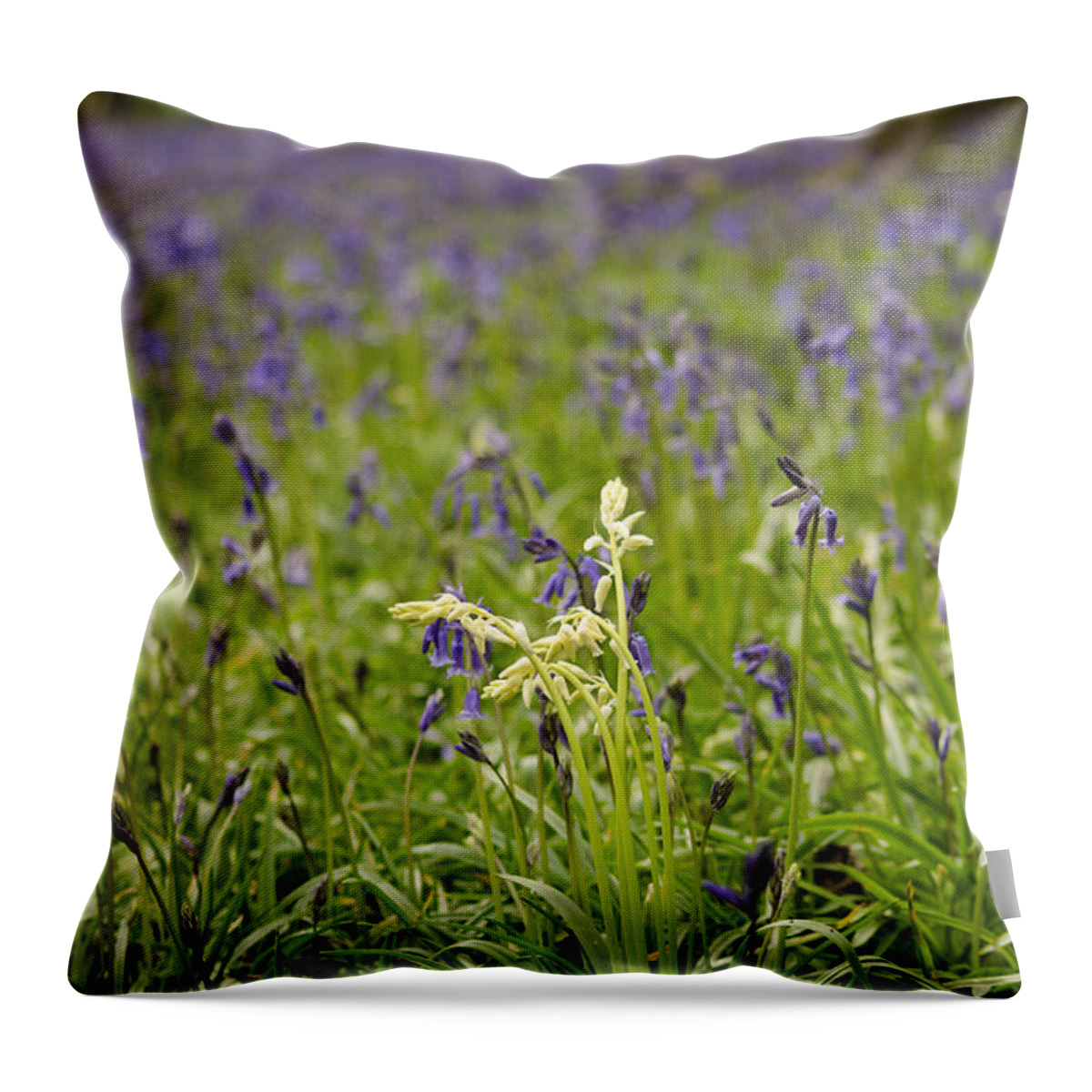 Forest Throw Pillow featuring the photograph White amongst the Blue by Spikey Mouse Photography