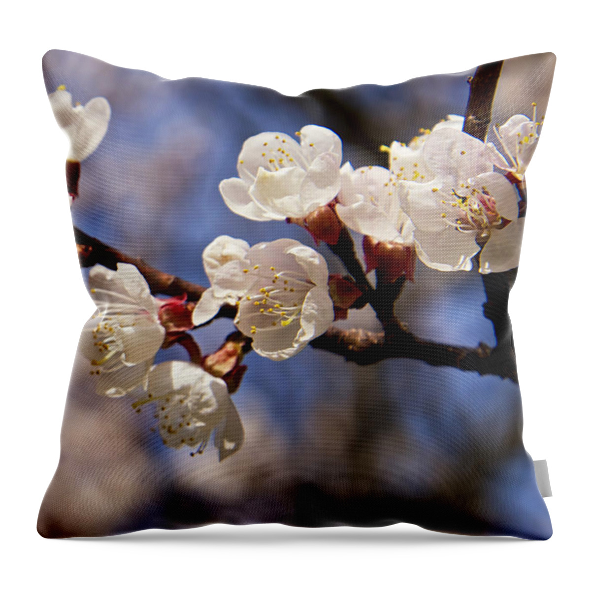 Blossom Throw Pillow featuring the photograph White Cherry Blossoms by Mary Lee Dereske
