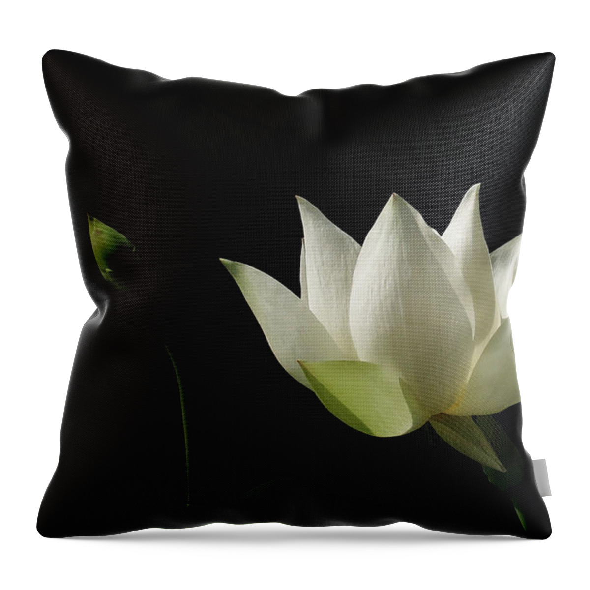 Garden Throw Pillow featuring the photograph White Lotus Profile by Deborah Smith