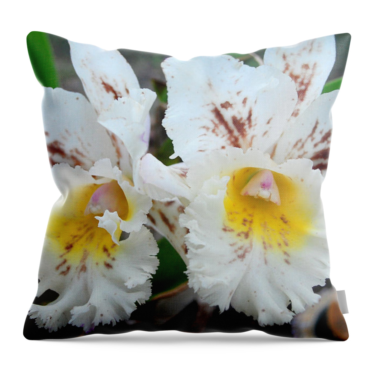 Kula Botanical Gardens Throw Pillow featuring the photograph White Orchids by Amy Fose