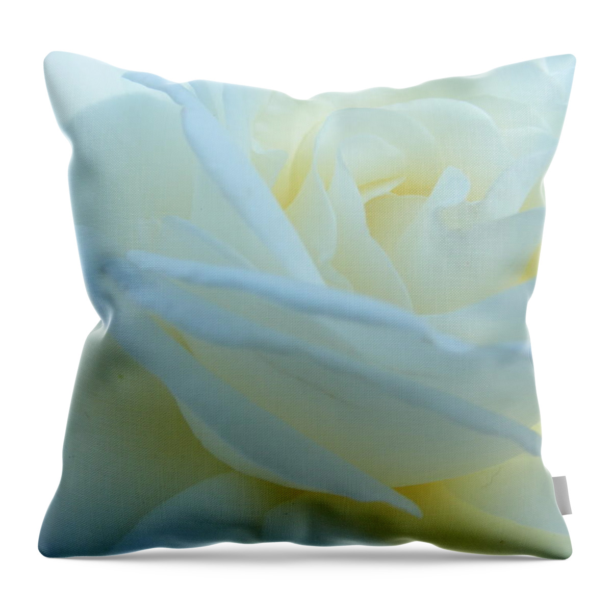 White Throw Pillow featuring the photograph White Rose by Michelle Hoffmann