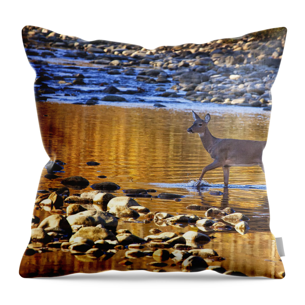 Whitetail Doe Throw Pillow featuring the photograph Whitetail Doe Crossing the Buffalo National River by Michael Dougherty