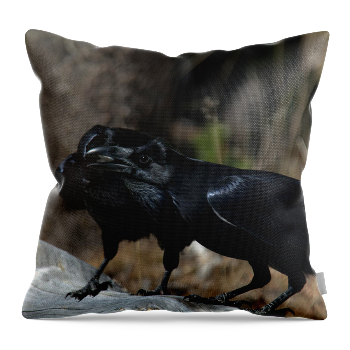 Raven Throw Pillow featuring the photograph Whoa you should see a dentist by Frank Madia