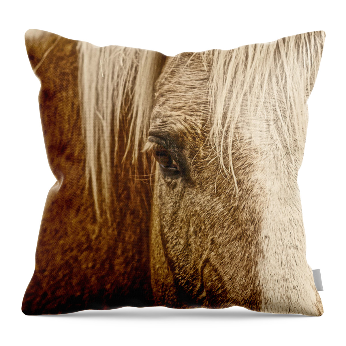 Palomino Horse Throw Pillow featuring the photograph Wickenburg's Palomino Gold by Amanda Smith