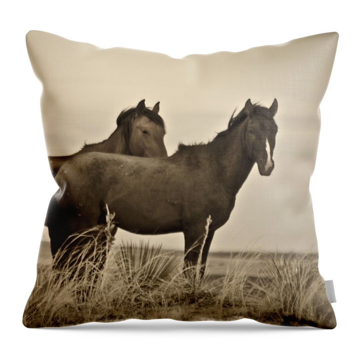 Horses Throw Pillow featuring the photograph Wild Mustangs of New Mexico 3 by Catherine Sobredo