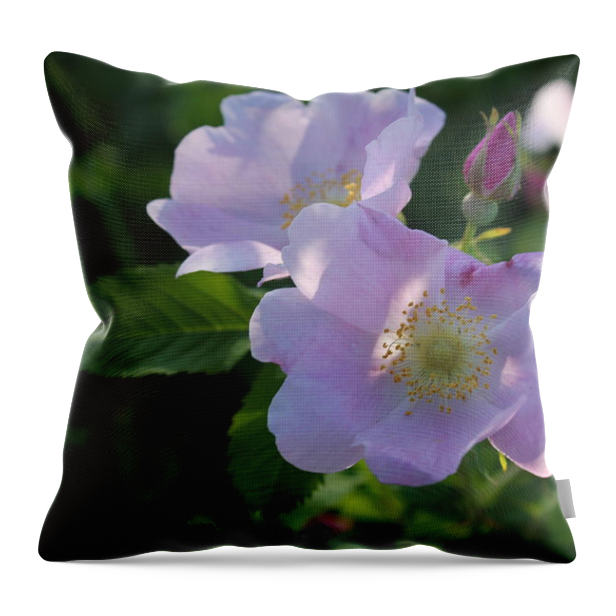 Wild Rose Throw Pillow featuring the photograph Wild Roses by Ruth Kamenev