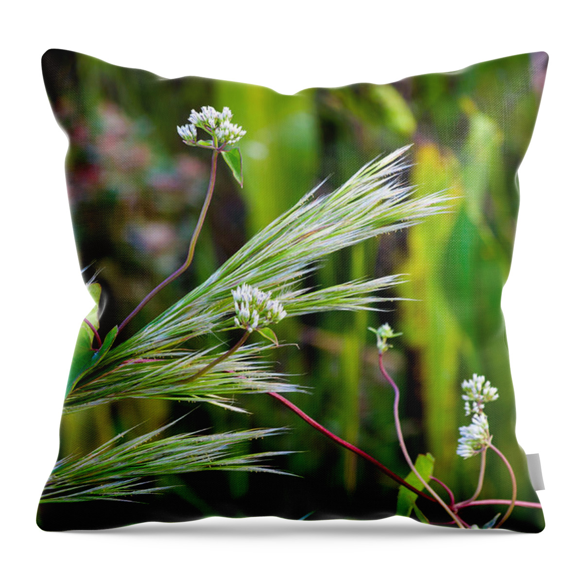 Wild Flowers Throw Pillow featuring the photograph Wildflowers and Grasses by Ed Gleichman