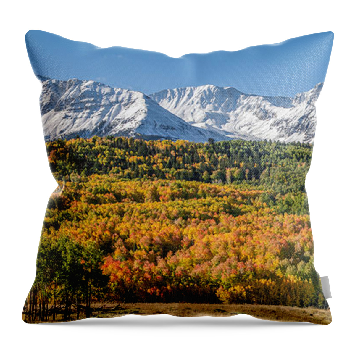 Wilson Throw Pillow featuring the photograph Wilson Mesa by Aaron Spong