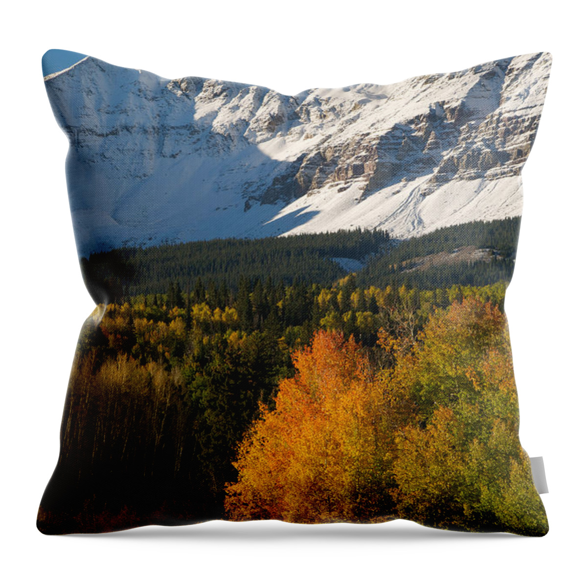 Wilson Throw Pillow featuring the photograph Wilson Peak Vertical by Aaron Spong