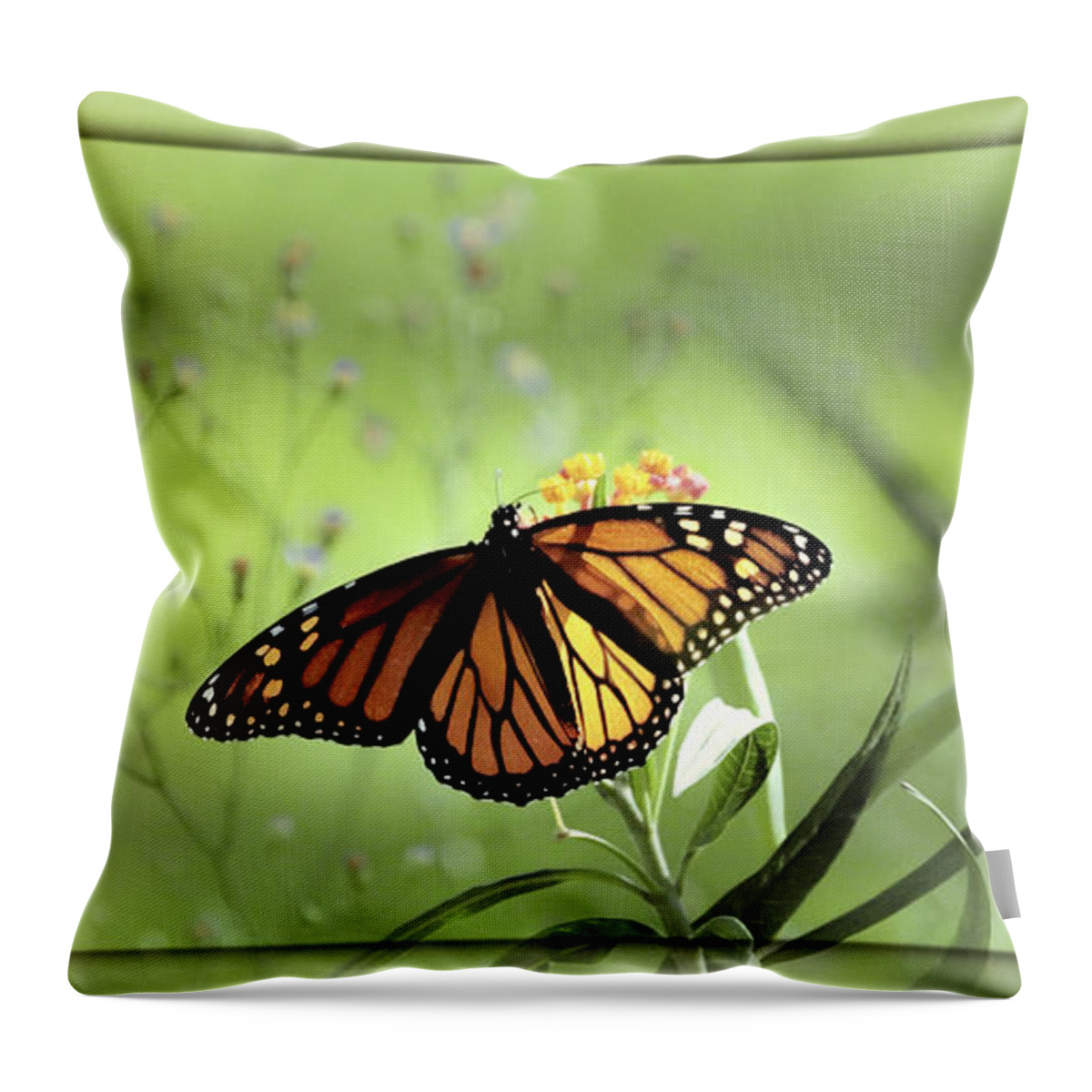 Monarch Photograph Print Throw Pillow featuring the photograph Wings In Soft Green by Lucy VanSwearingen