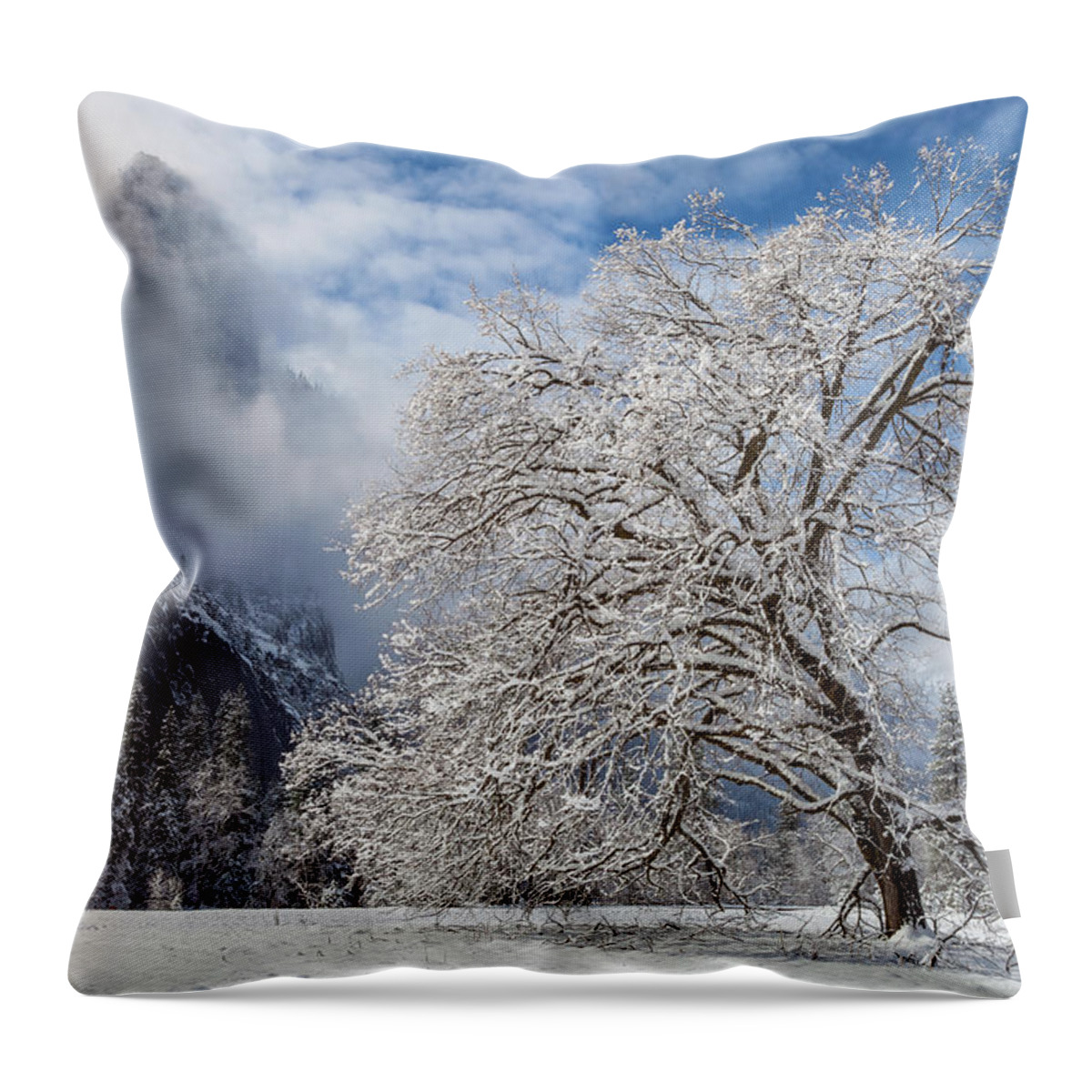Landscape Throw Pillow featuring the photograph Winter Arrived by Jonathan Nguyen