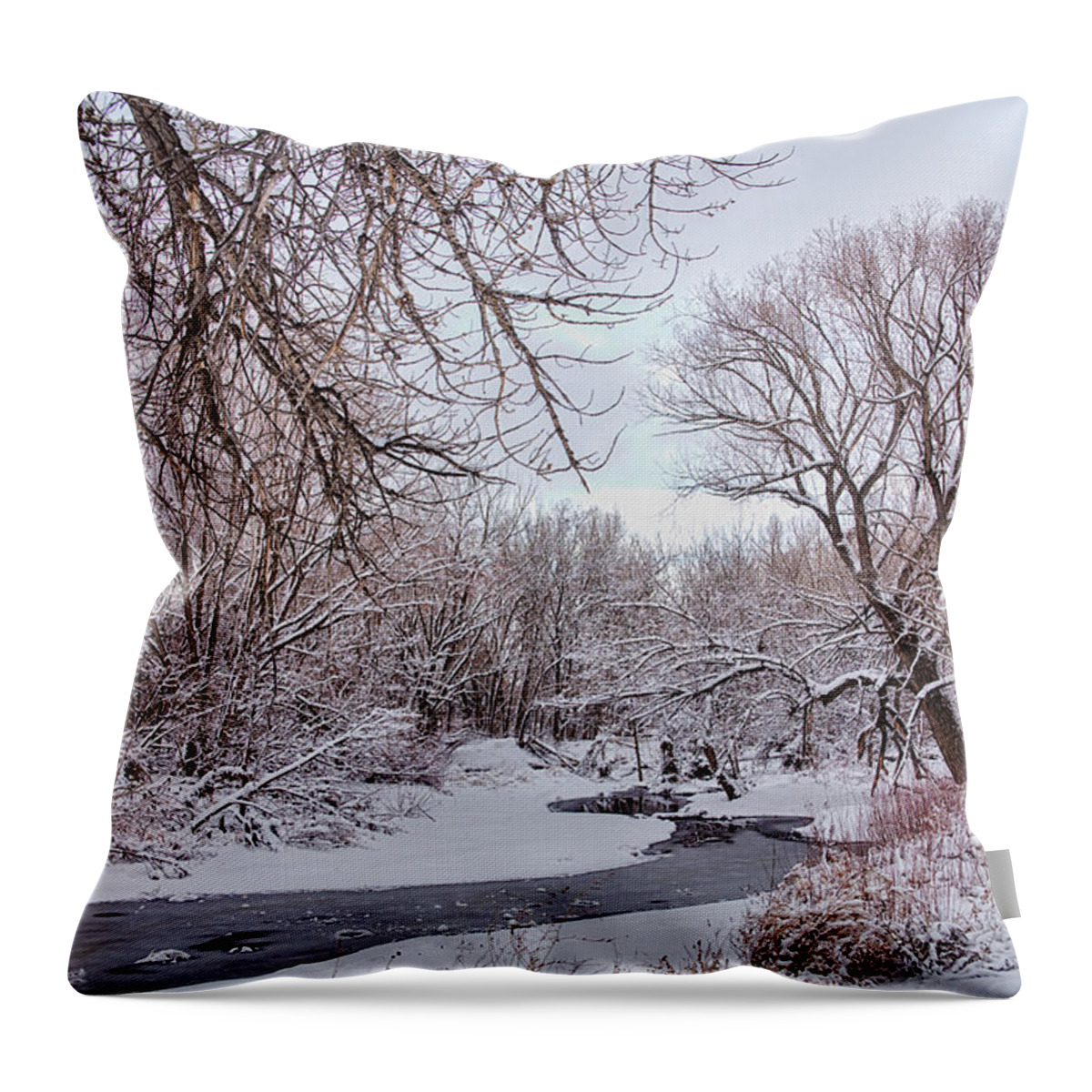 Winter Throw Pillow featuring the photograph Winter Creek by James BO Insogna