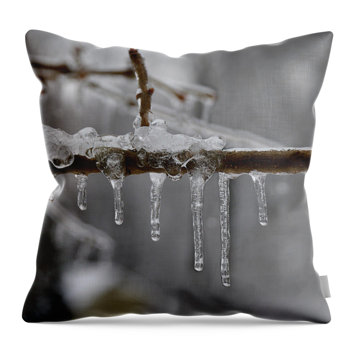 Winter Throw Pillow featuring the photograph Winter - Ice Drops by Richard Reeve