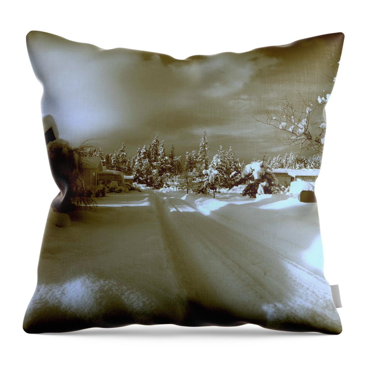 Winter Throw Pillow featuring the photograph Winter Lane by Micki Findlay