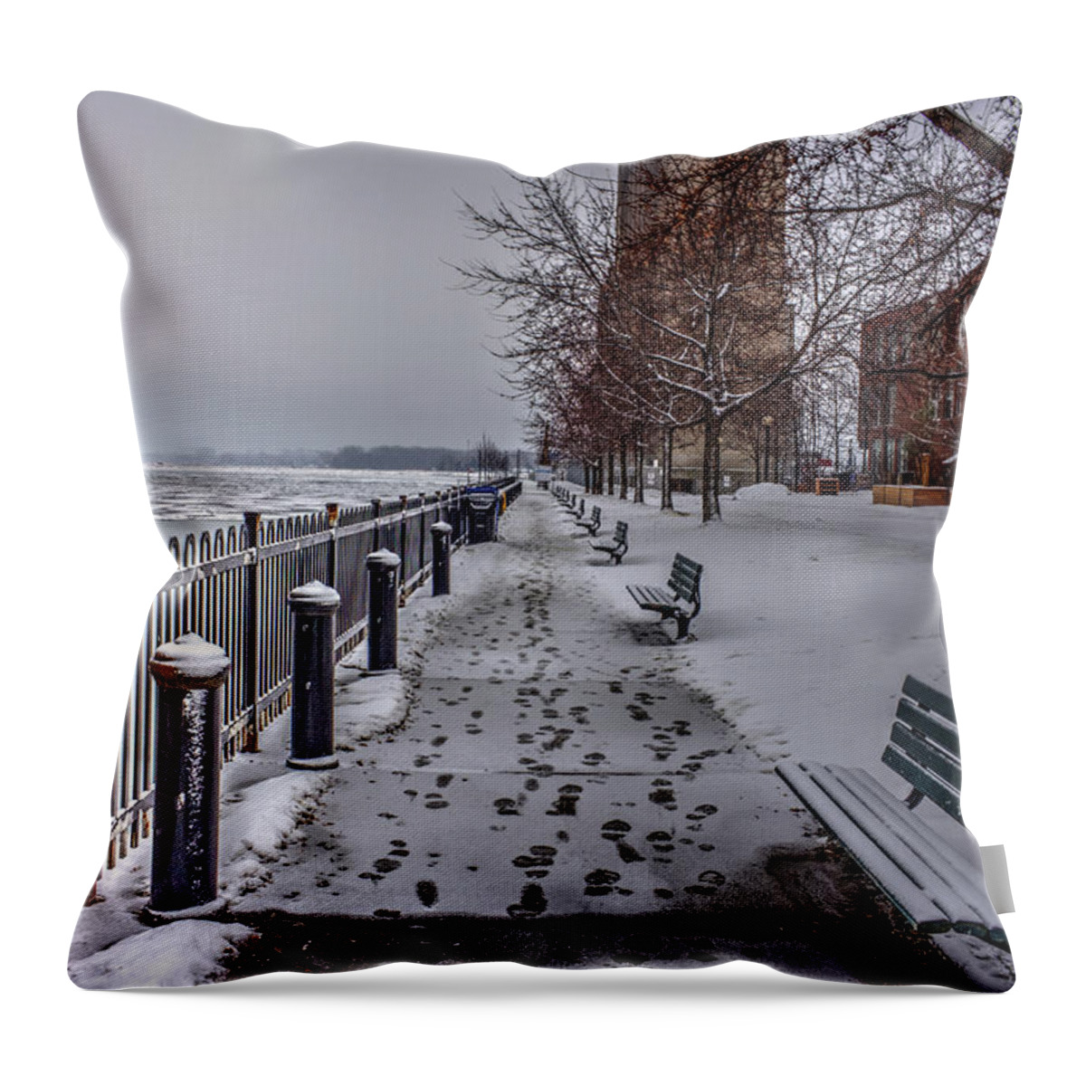 Nature Throw Pillow featuring the photograph Winter Morning by Nicky Jameson