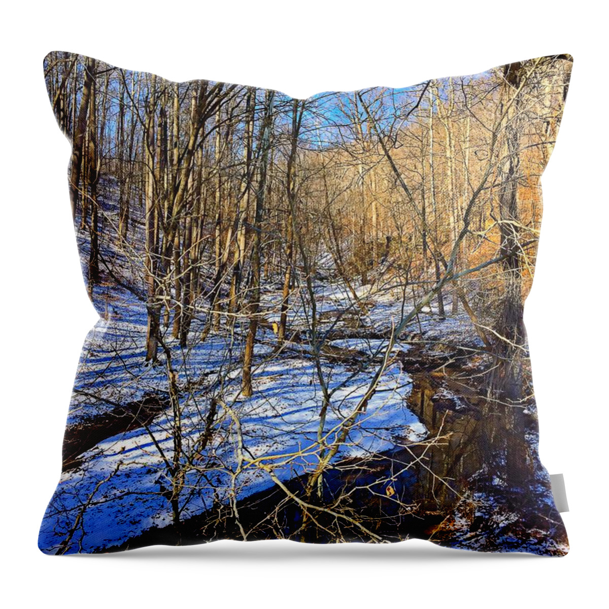 Winter Throw Pillow featuring the photograph Winter Nature Walk by Chris Montcalmo