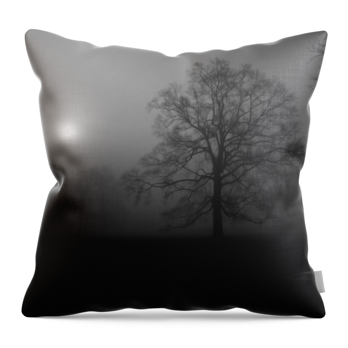 Landscape Throw Pillow featuring the photograph Winter Oak in Fog by Deborah Smith
