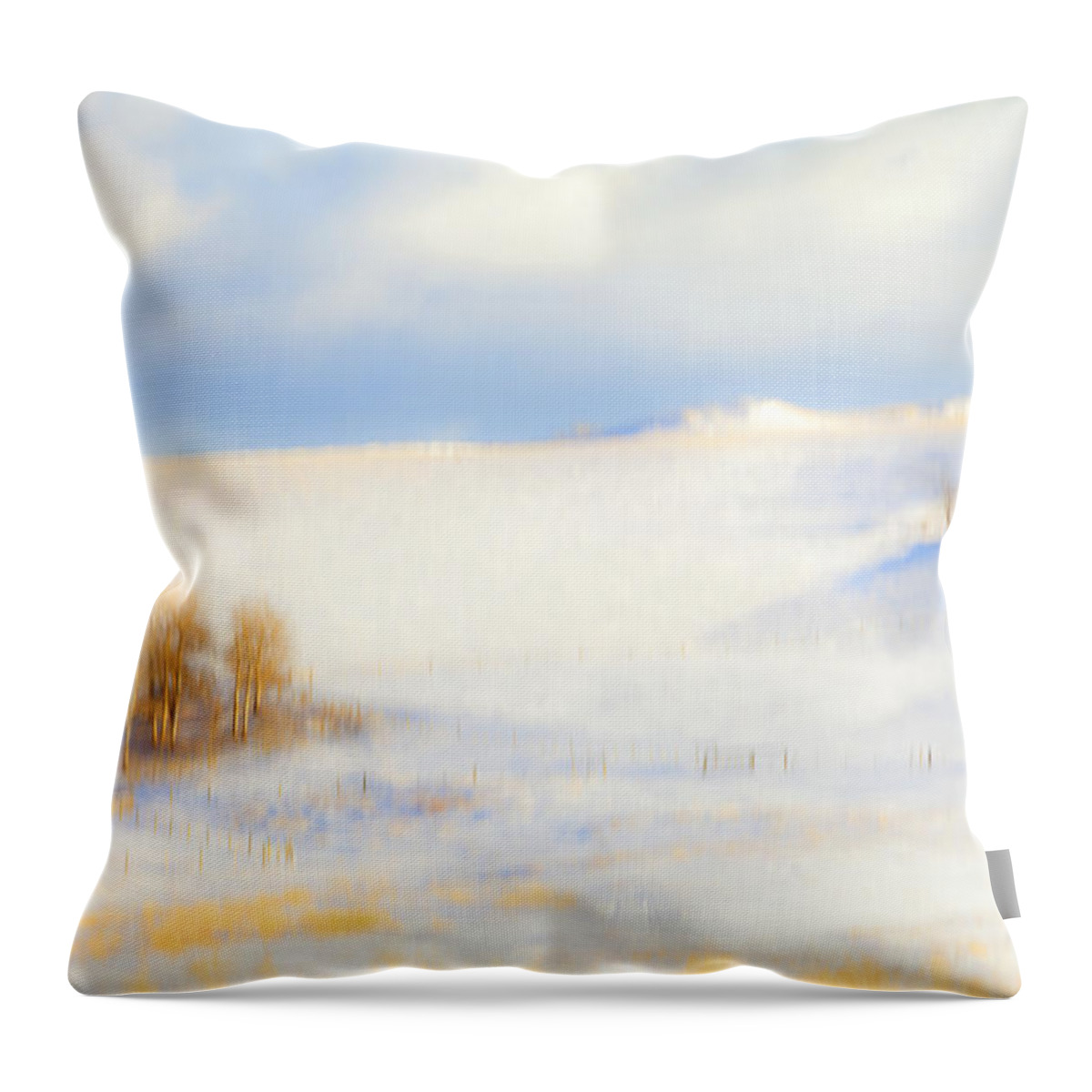 Winter Throw Pillow featuring the photograph Winter Poplars by Theresa Tahara
