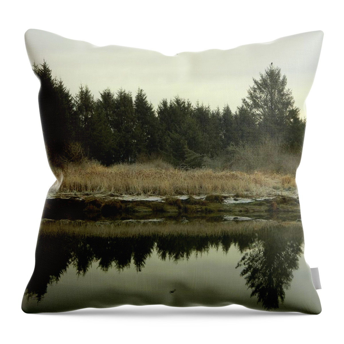 Winter Throw Pillow featuring the photograph Winter River 2 by Gallery Of Hope 