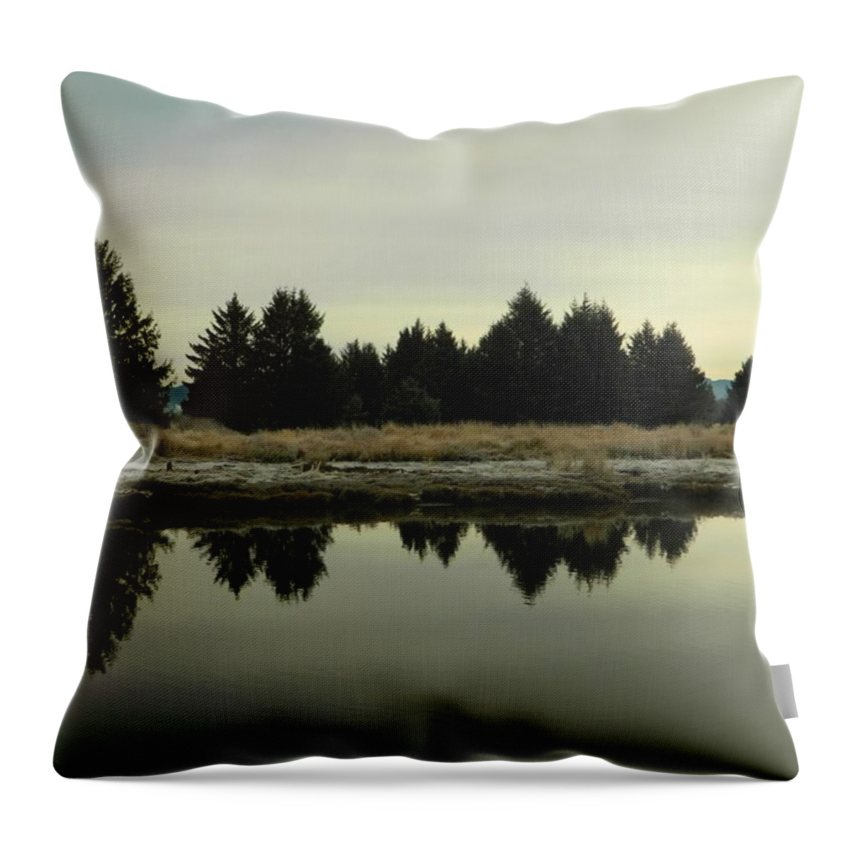 Landscape Throw Pillow featuring the photograph Winter River 7 by Gallery Of Hope 