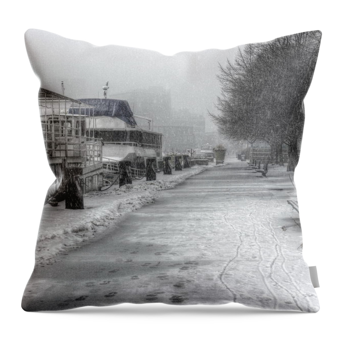 Alone Throw Pillow featuring the photograph Winter Snow Storm II by Nicky Jameson