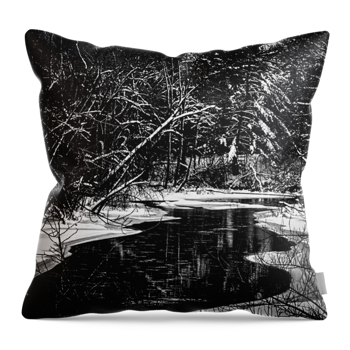 Winter Setting Throw Pillow featuring the photograph Winter Solitude by Thomas Young