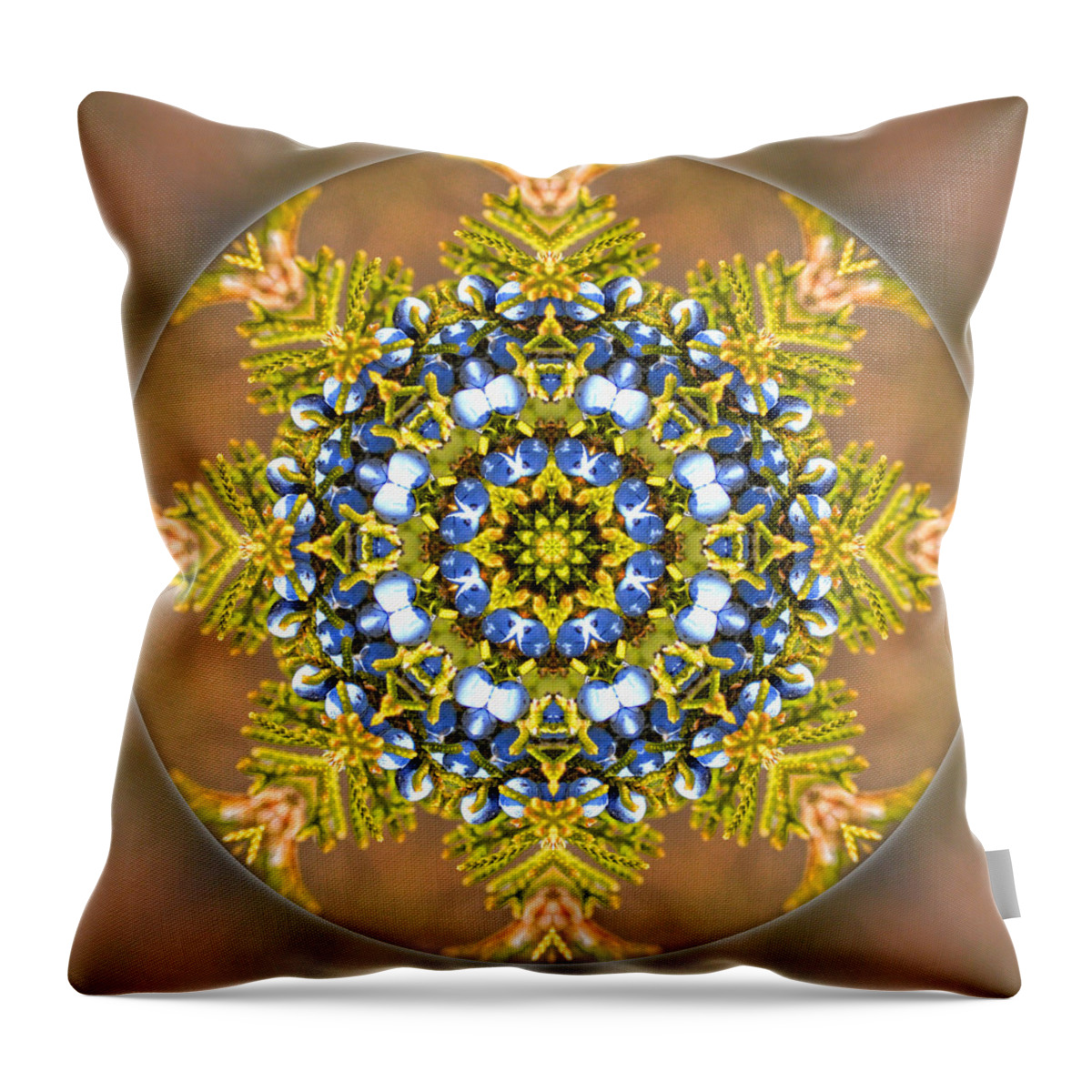  Throw Pillow featuring the photograph Winter Solstice Mandala by Beth Sawickie