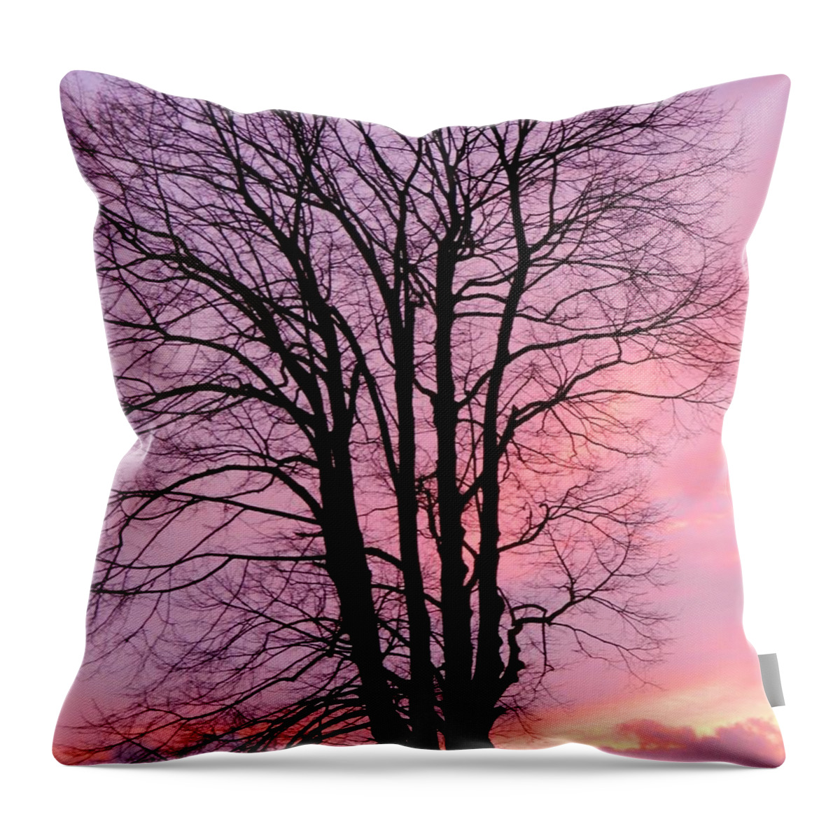 Sunset Throw Pillow featuring the photograph Winter Sunset by Gallery Of Hope 
