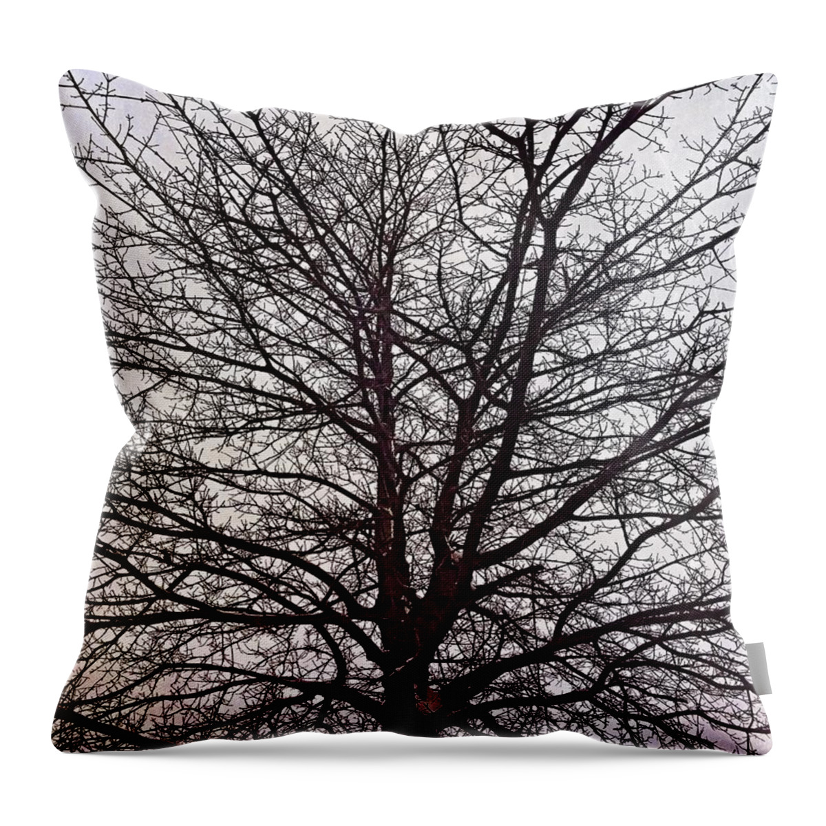 Tree Throw Pillow featuring the photograph Winter's Touch by Chris Montcalmo