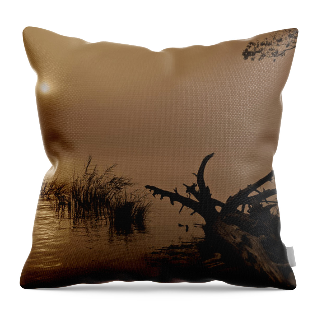 Landscape Throw Pillow featuring the photograph Winyah Glow by Deborah Smith