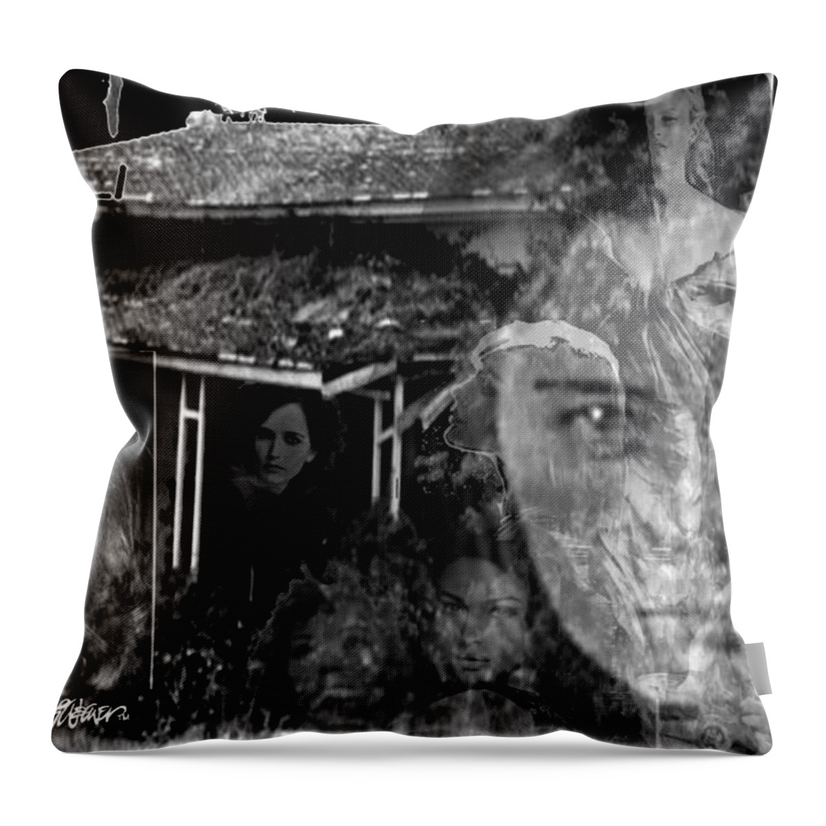 Women Of The House Throw Pillow featuring the digital art Women of the House by Seth Weaver