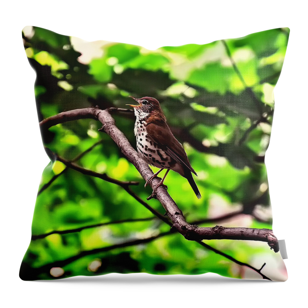 Bird Throw Pillow featuring the photograph Wood Thrush Singing by Flees Photos