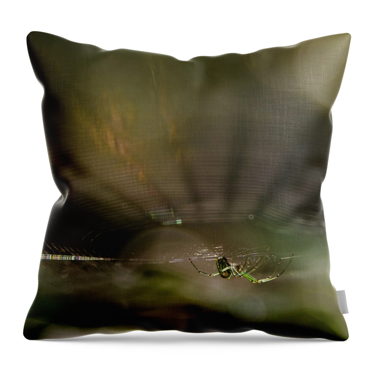 Spider Throw Pillow featuring the photograph Woodland Spider Abstract by Michael Dougherty