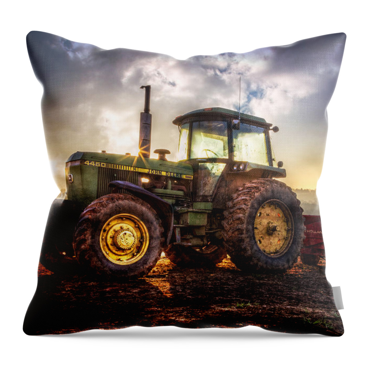 4450 Throw Pillow featuring the photograph Workhorse II by Debra and Dave Vanderlaan