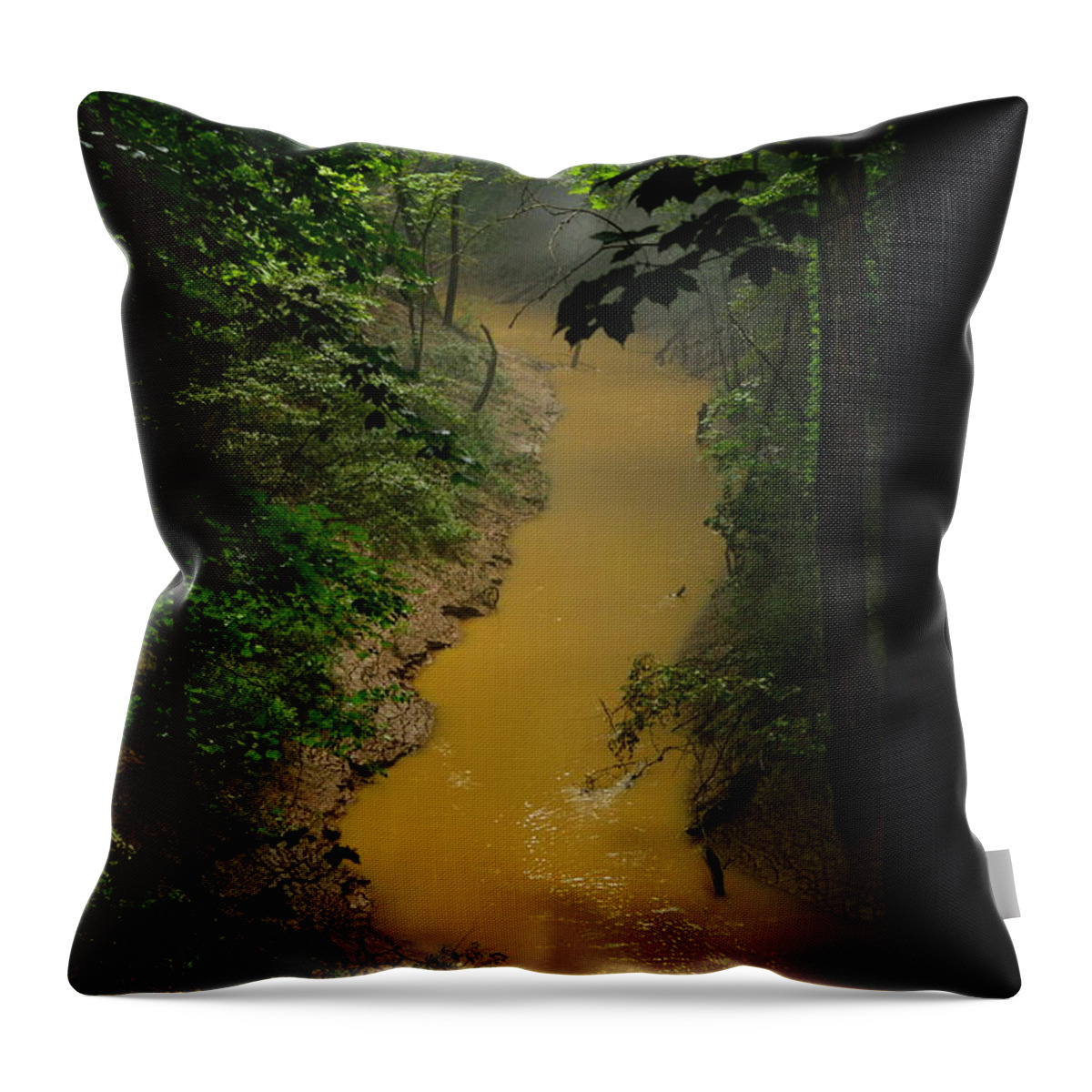  Cedar Sink Creek Throw Pillow featuring the photograph Hidden Cedar SInk Creek by Stacie Siemsen